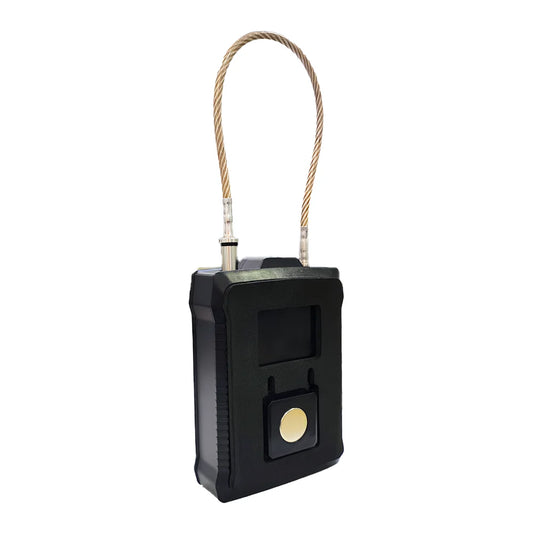 4G GPS Electronic Lock with Remote Access & Real-Time Tracking